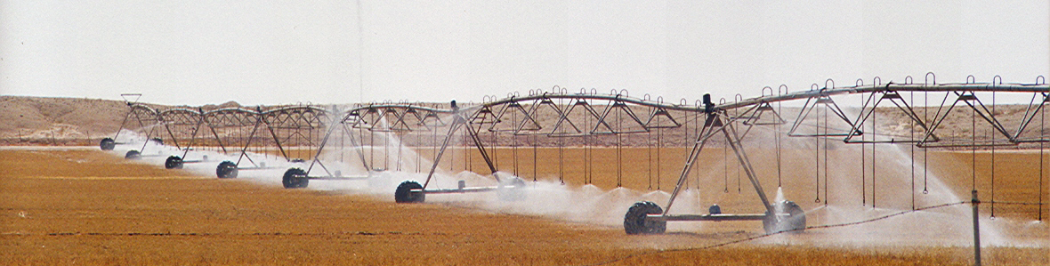 Photos/arabie_1998/asir002.jpg