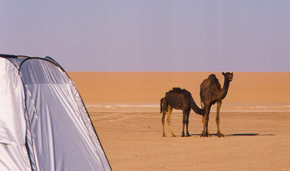 Photos/arabie_1998/asir016.jpg