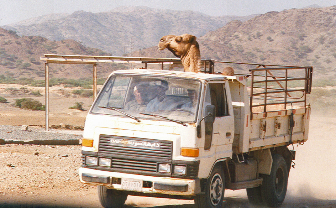 Photos/arabie_1998/asir081.jpg