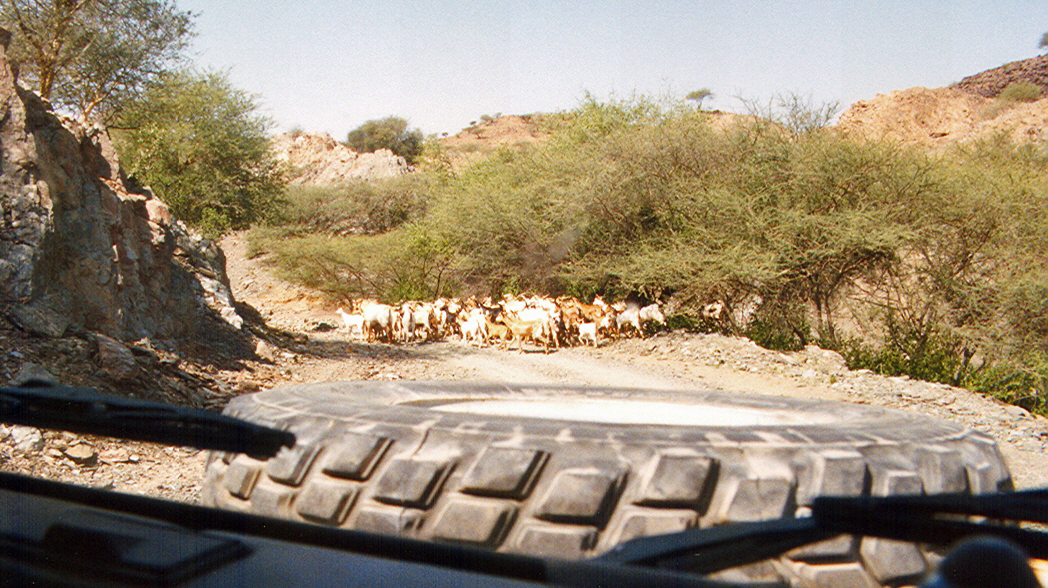 Photos/arabie_1998/asir096.jpg