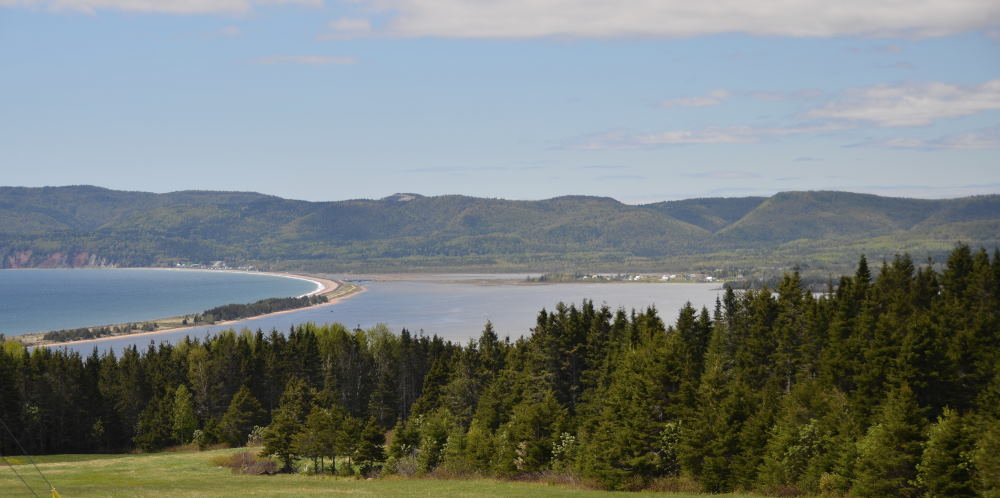 Photos/gaspesie_2016/2016-06-01-09h10m43.JPG