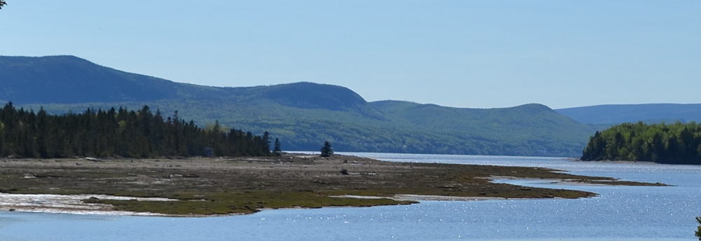 Photos/gaspesie_2016/2016-06-01-14h57m56.JPG