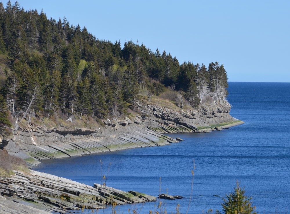 Photos/gaspesie_2016/2016-06-01-15h54m59.JPG