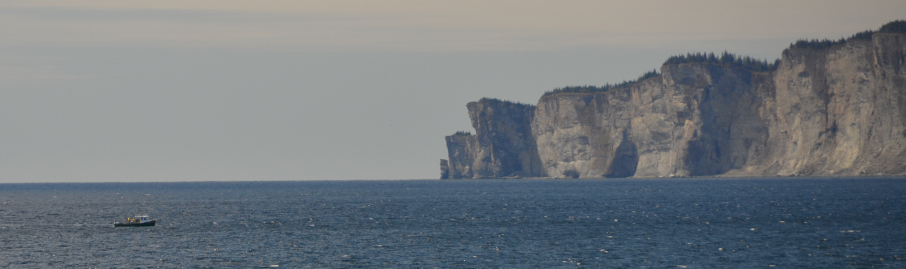 Photos/gaspesie_2016/2016-06-02-08h10m21.JPG