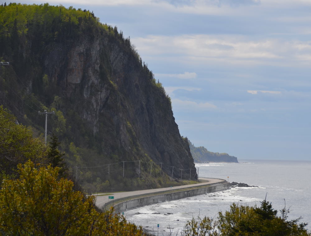 Photos/gaspesie_2016/2016-06-02-13h36m28.JPG