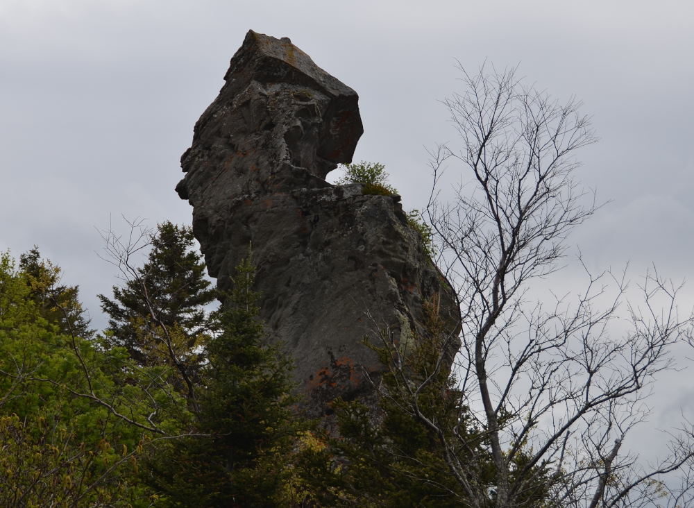 Photos/gaspesie_2016/2016-06-02-14h33m11.JPG