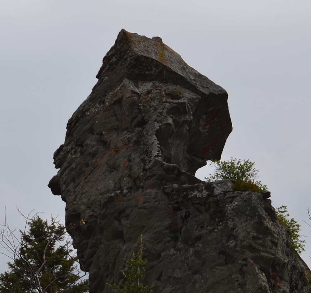 Photos/gaspesie_2016/2016-06-02-14h33m19.JPG