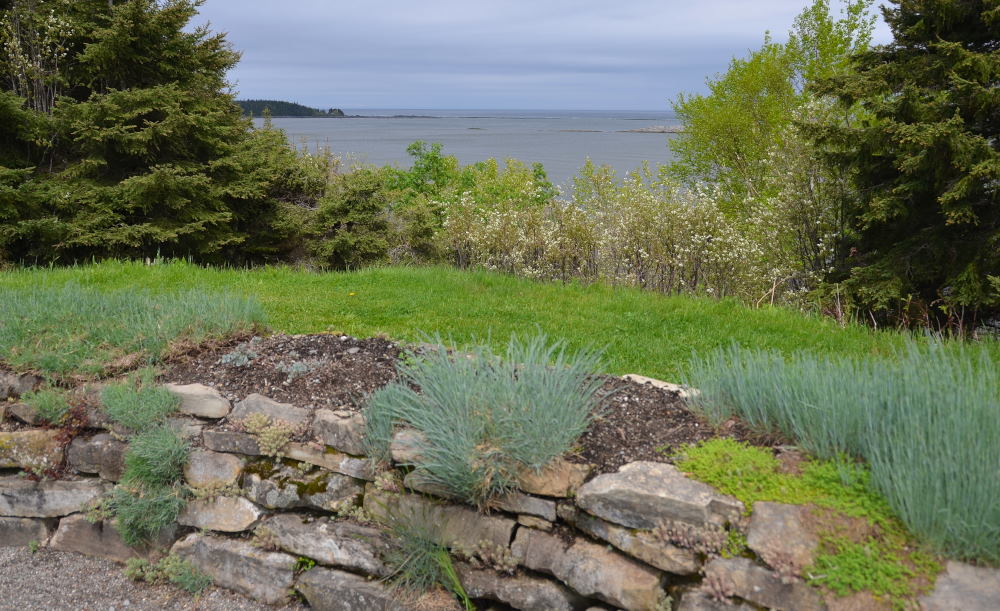 Photos/gaspesie_2016/2016-06-03-10h10m33.JPG