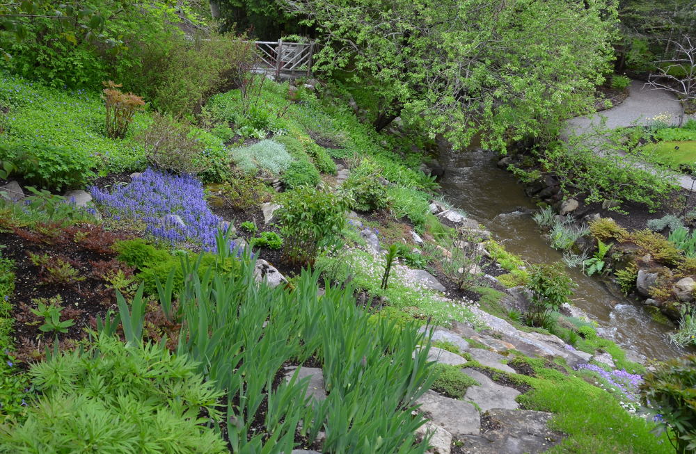 Photos/gaspesie_2016/2016-06-03-10h22m49.JPG