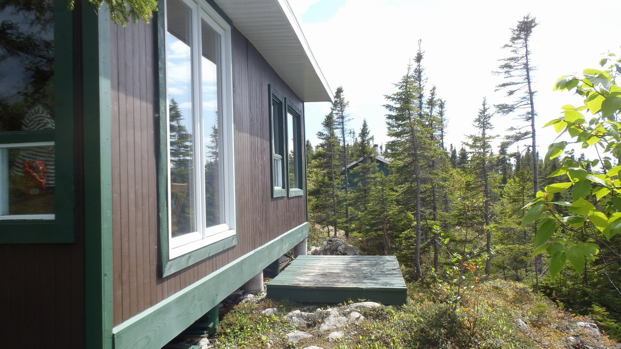 Photos/gaspesie_2016/2016-06-04-15h53m35.JPG