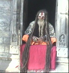 Photos/nepal/sadhus.jpg