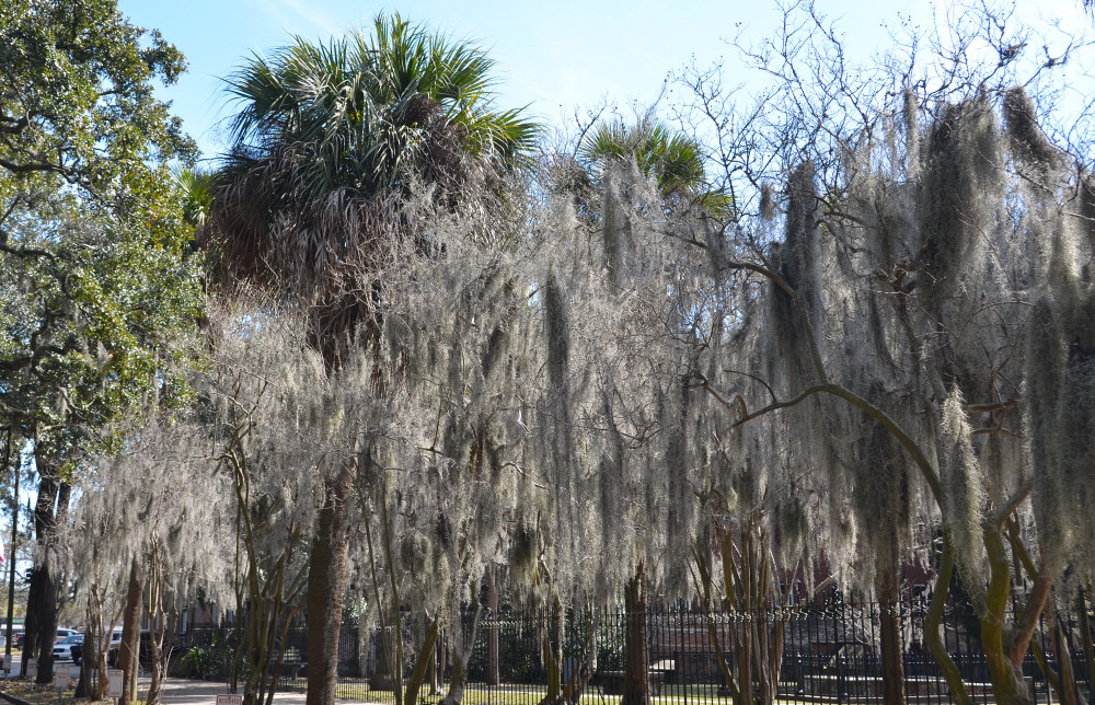 Photos/texas_maryland_floride_2017/2018-02-19-13h08m24.JPG